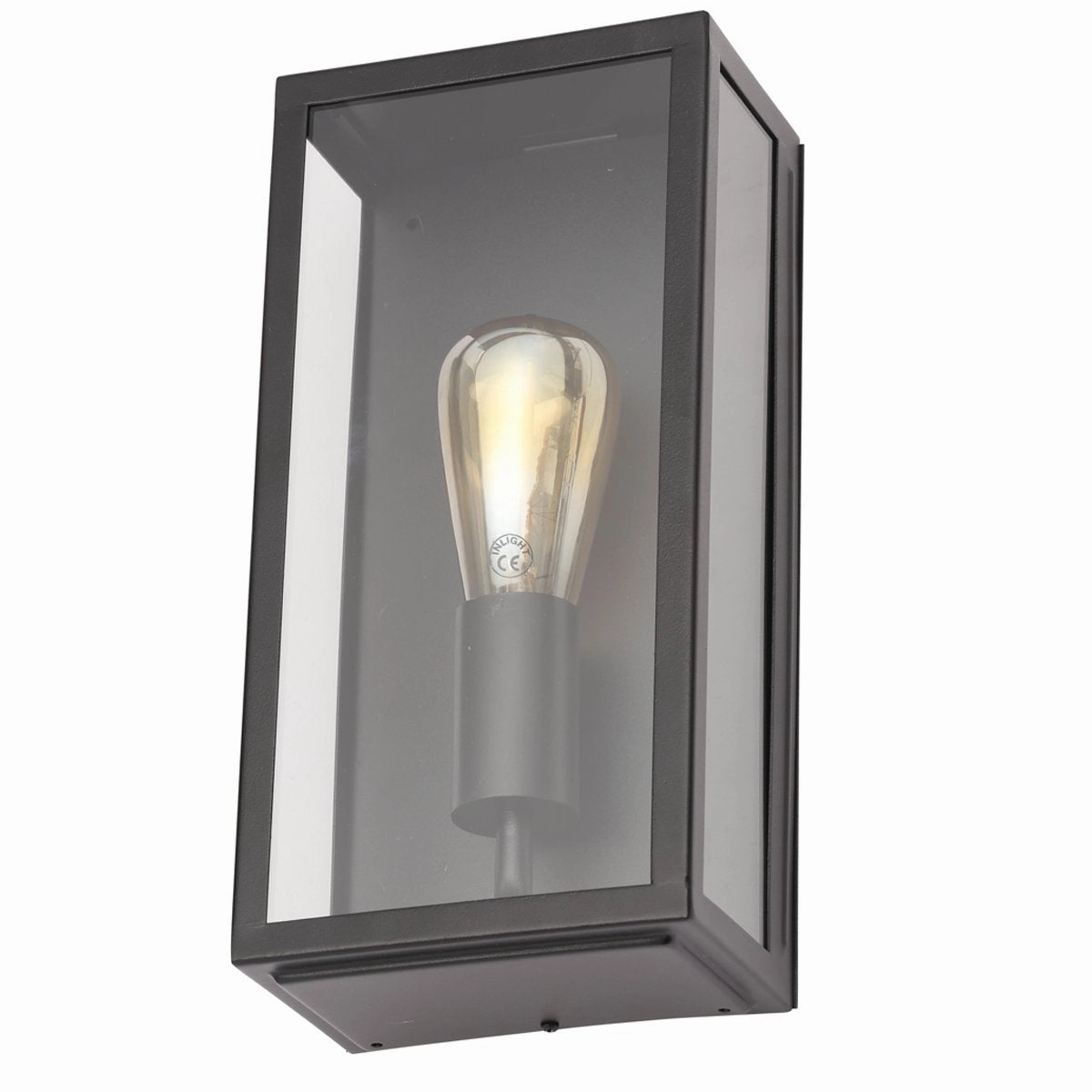CGC IRENE Black Industrial Box Outdoor Wall Light