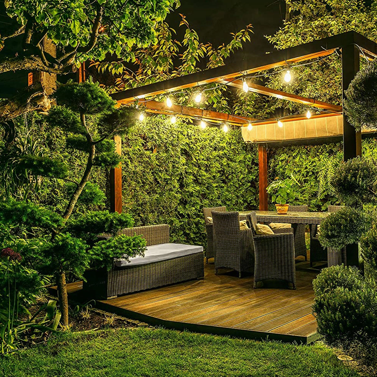CGC JOY Vintage Style Festoon Outdoor/Indoor String Lights