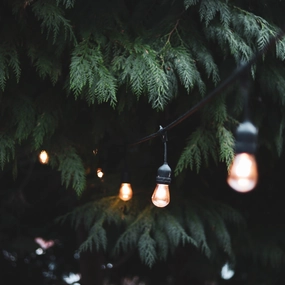 CGC JOY Vintage Style Festoon Outdoor/Indoor String LightsWeatherproof outdoor lighting
