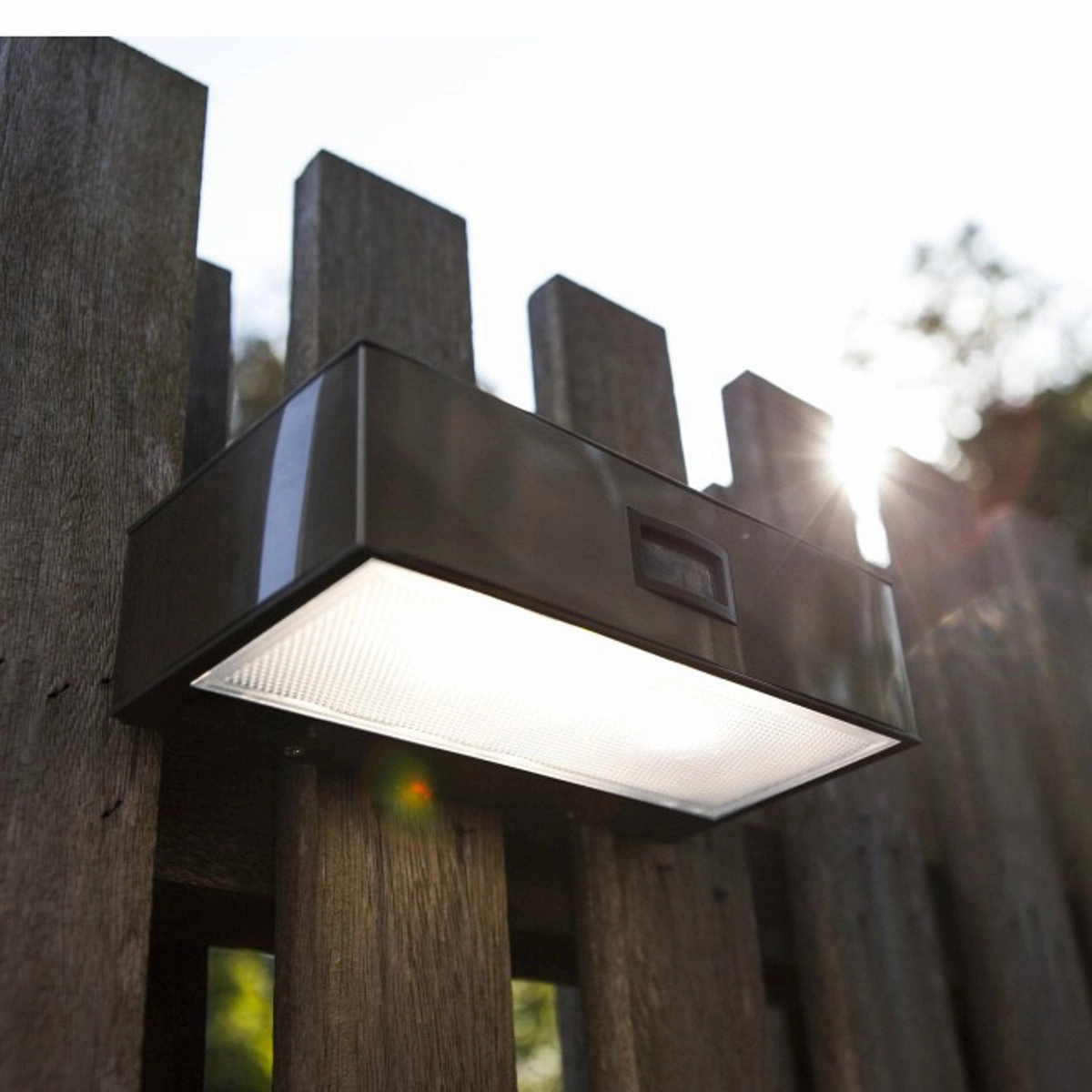 CGC KIRBY Stainless Steel LED Solar Outdoor Wall Light With Motion Sensor