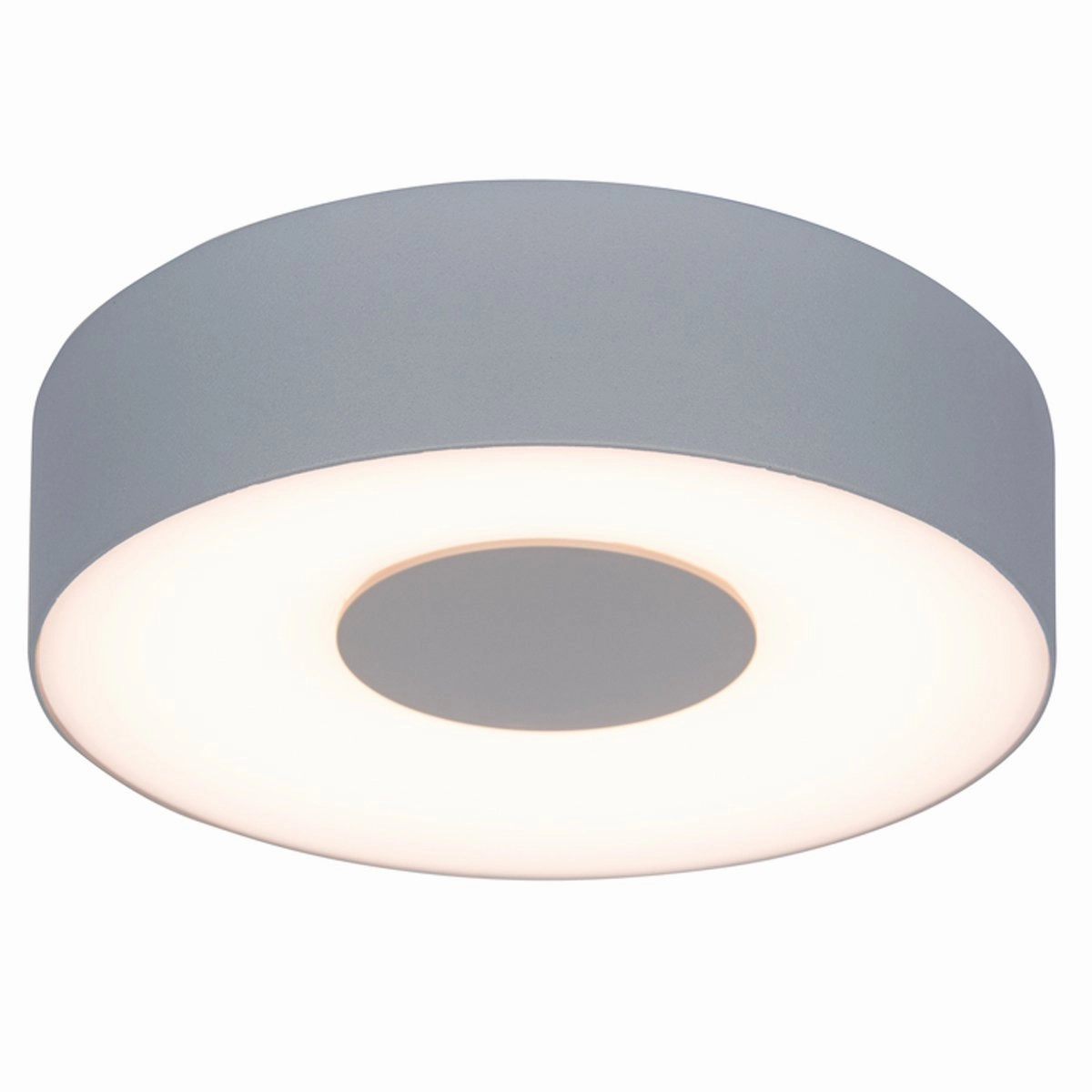 CGC LORA Matt Silver Small Round LED Wall Or Ceiling Light