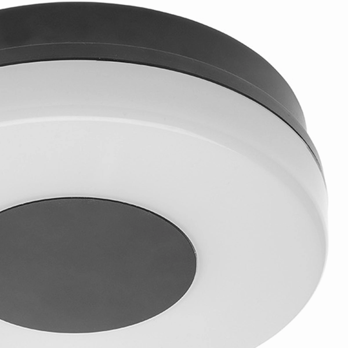 CGC TWISTER Black / White Round LED Light