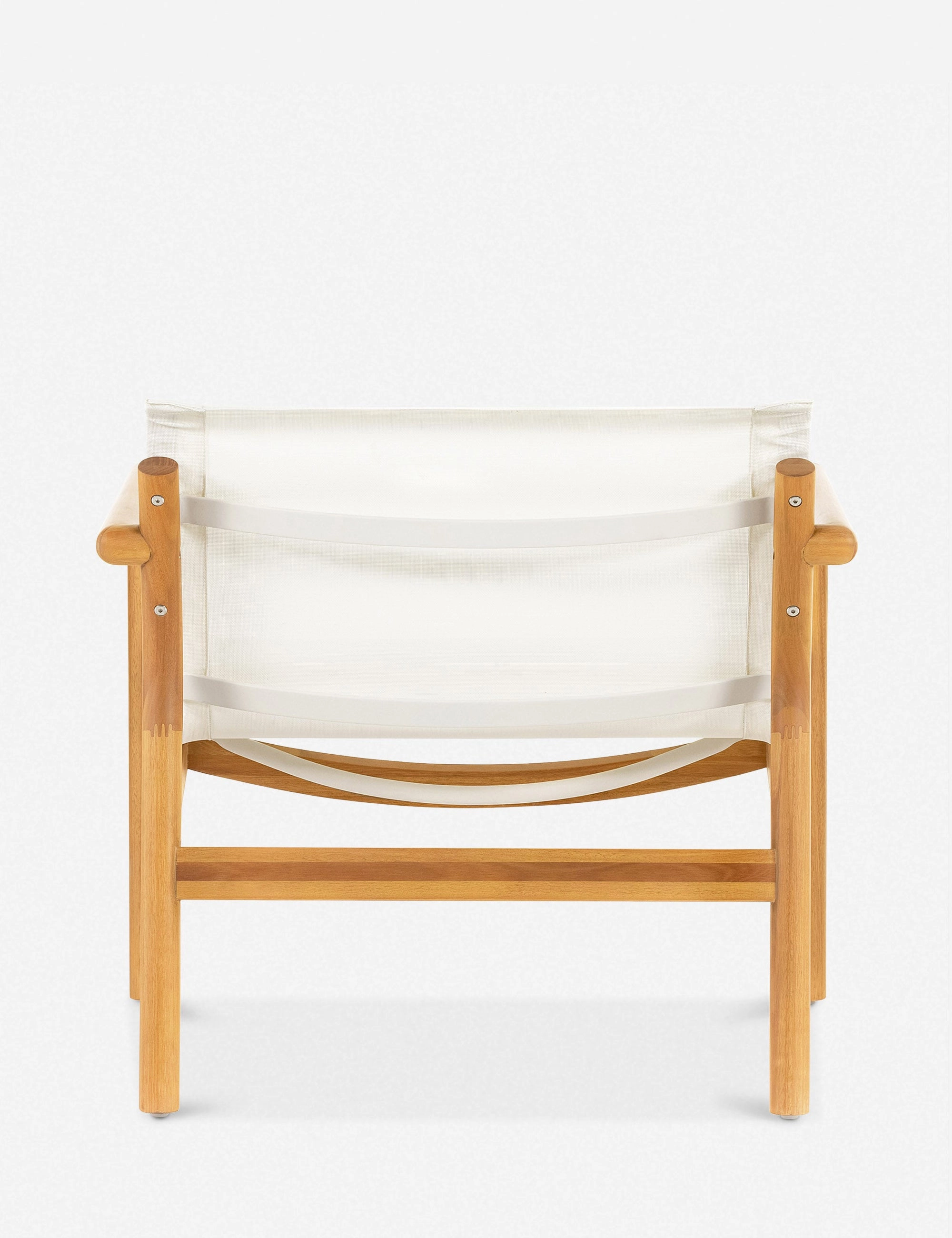 Charise Indoor / Outdoor Accent Chair