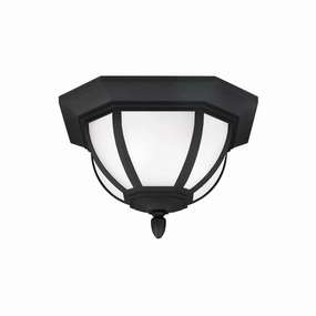 Childress 2-Light Outdoor Ceiling Light (with Bulbs)Weatherproof outdoor lighting