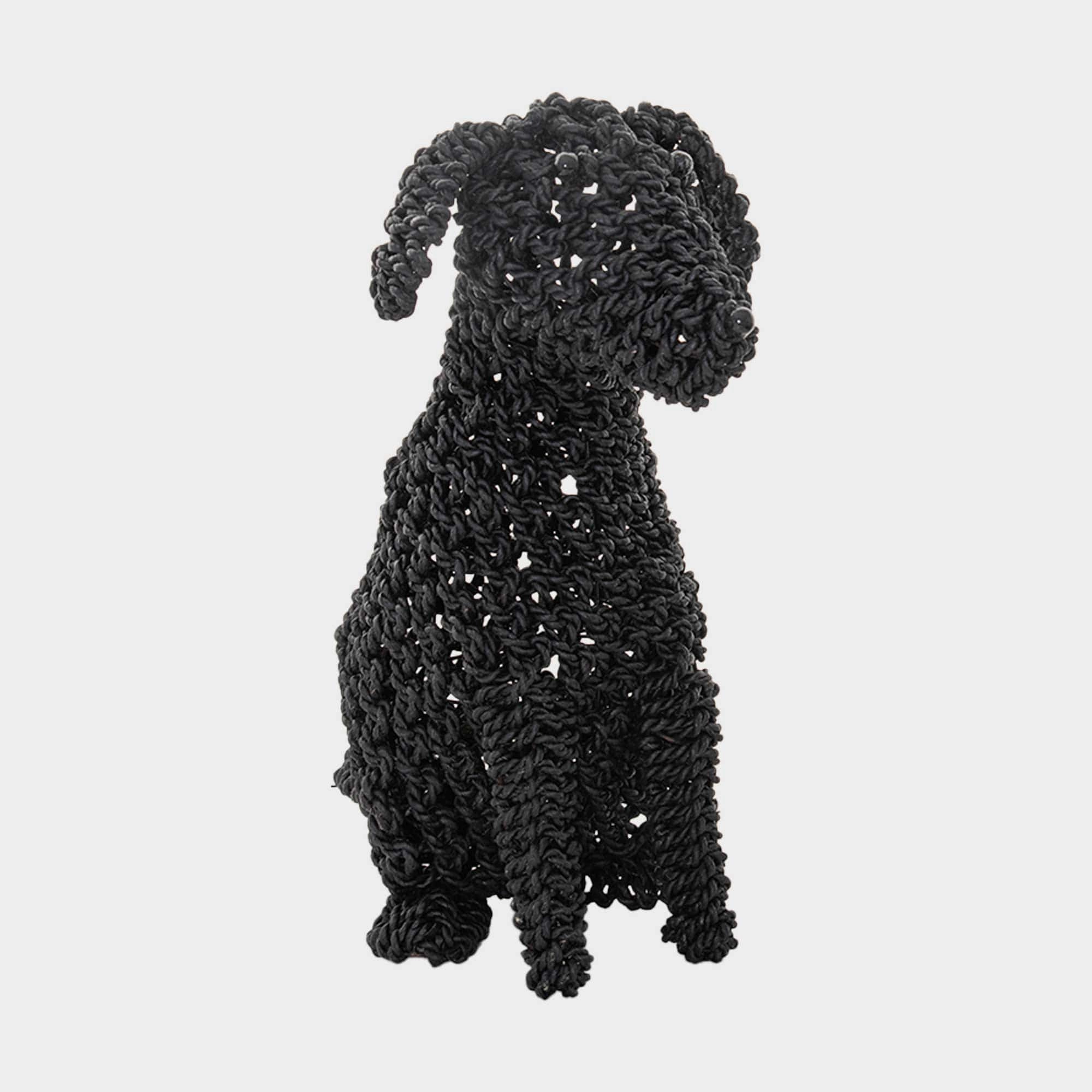 Cocoa - Seagrass Dog