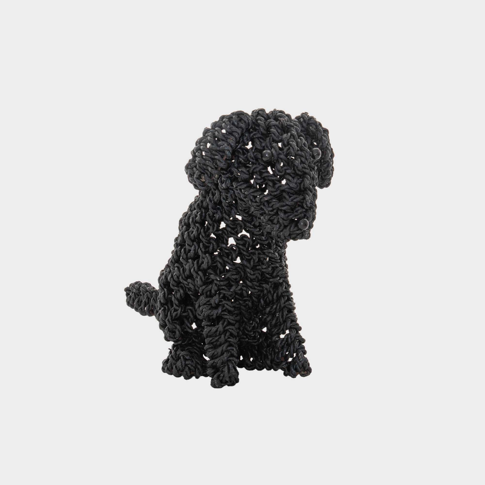 Cocoa - Seagrass Puppy