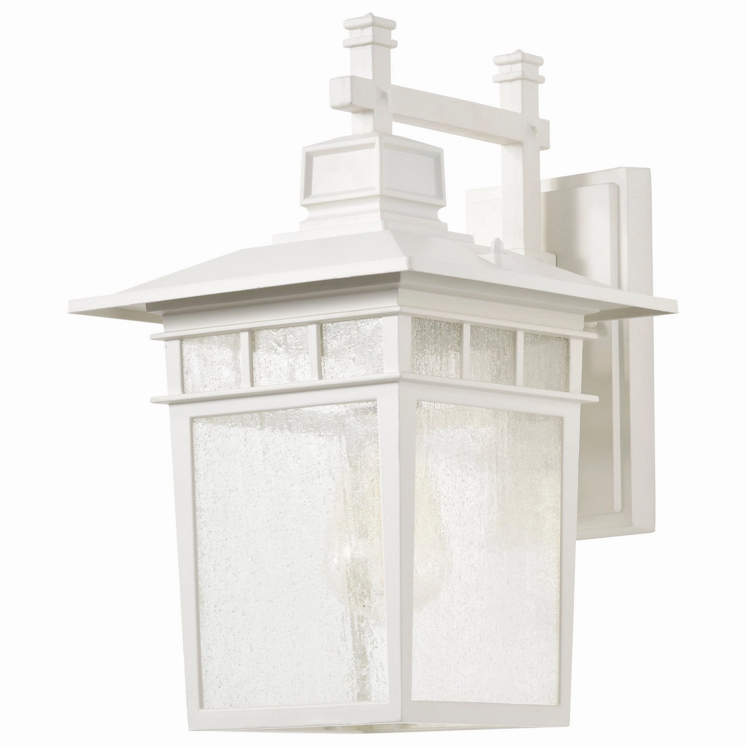 Cove Neck One Light Wall Lantern White / Clear Seeded
