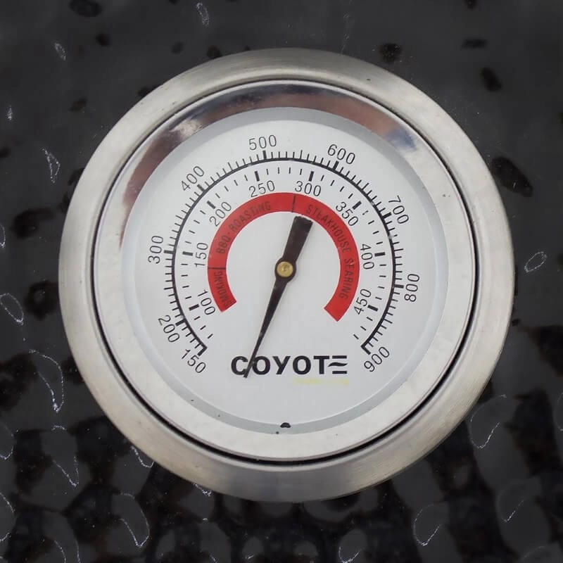 Coyote Asado Ceramic Freestanding Smoker Grill C1CHCS-FS