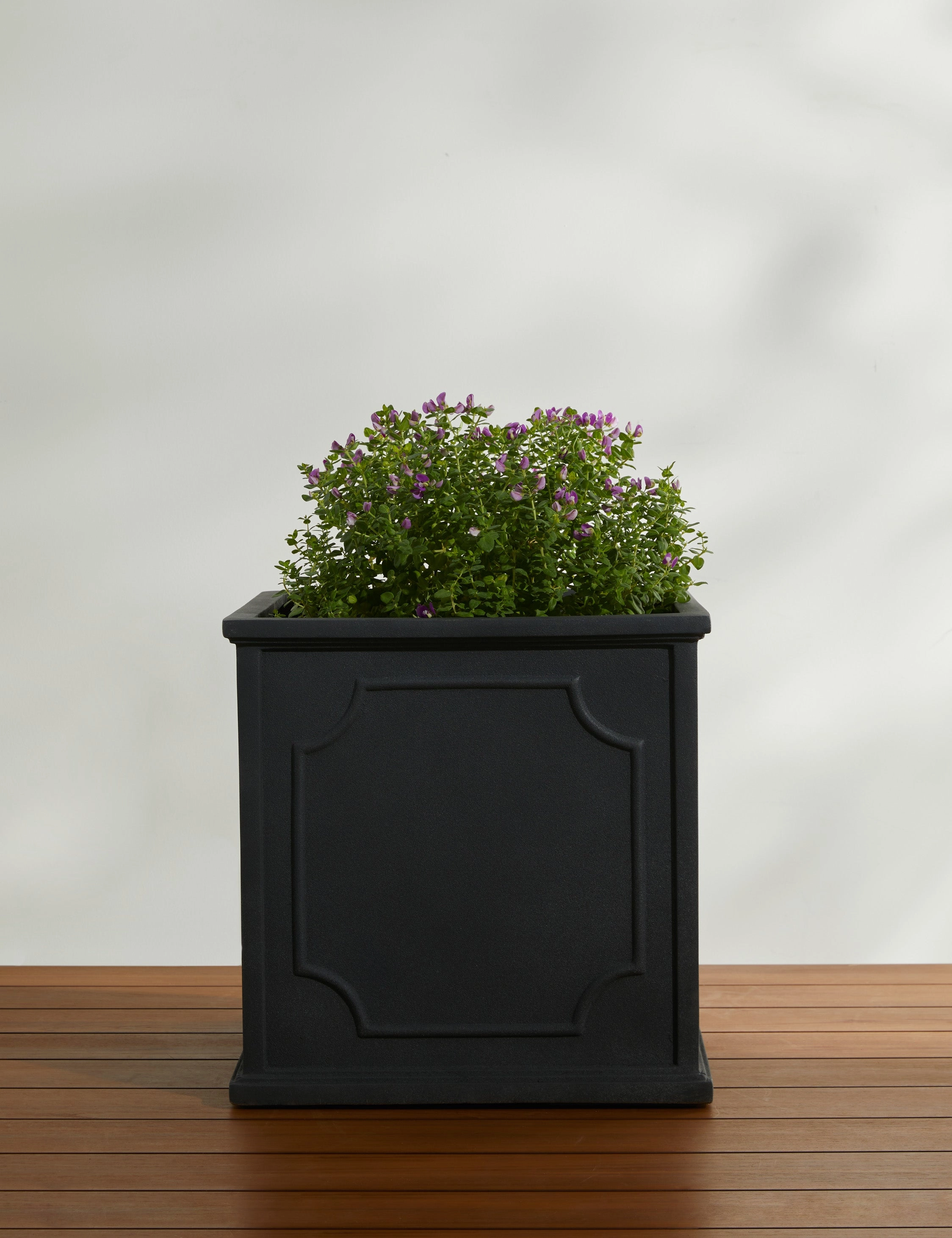 Cumberland Planter by Campania International