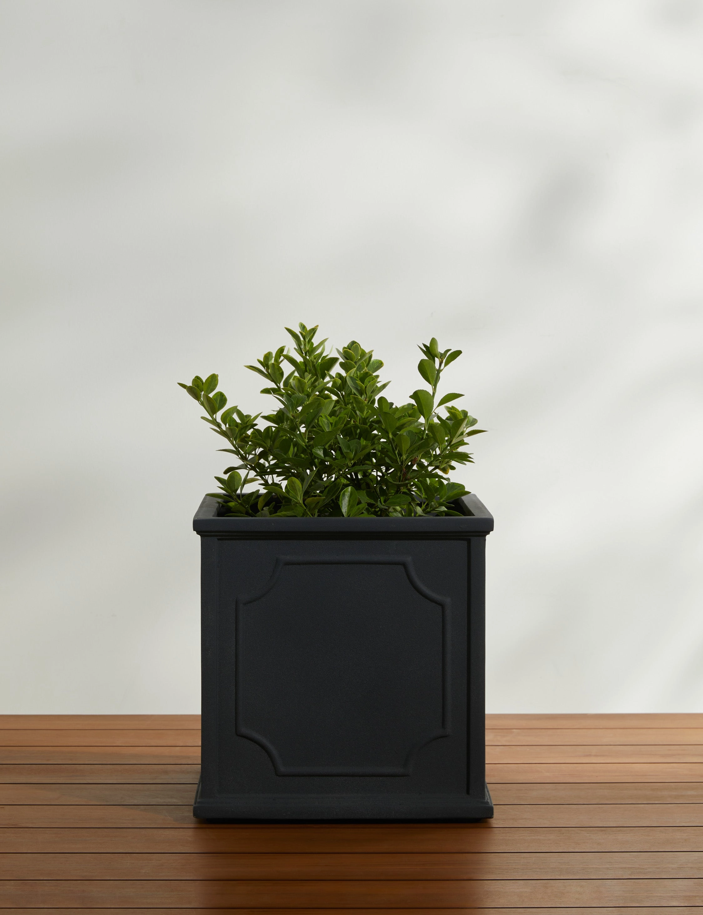 Cumberland Planter by Campania International
