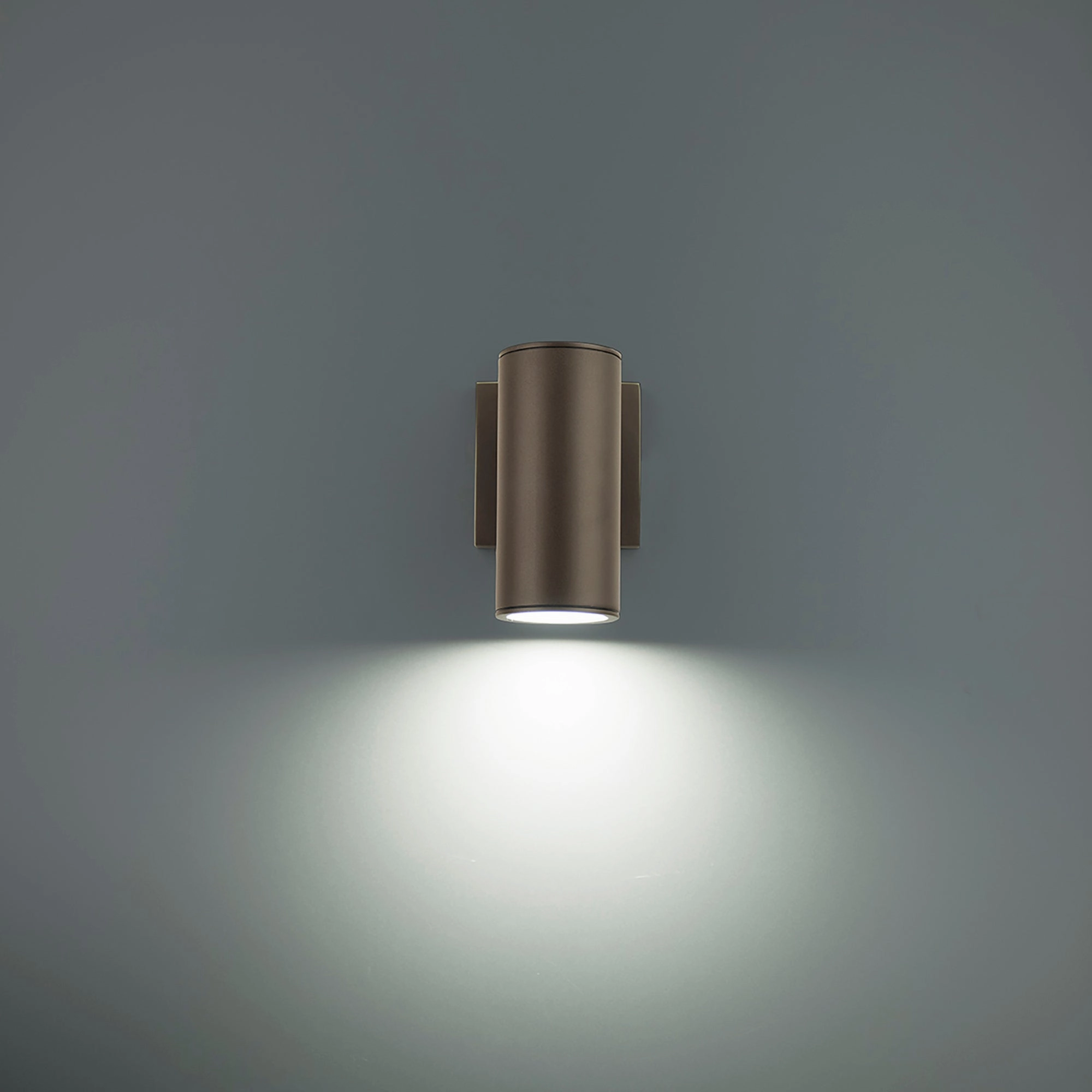 Cylinder LED Single Up or Down Indoor/Outdoor Wall Light