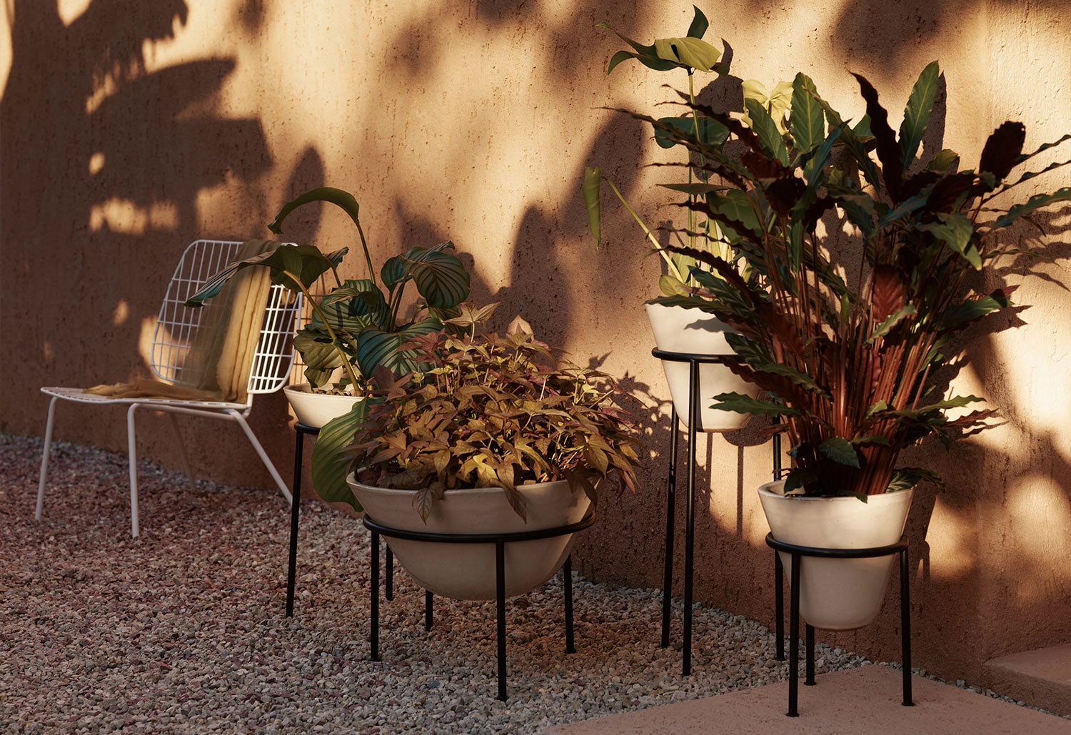 Daiza Planter
