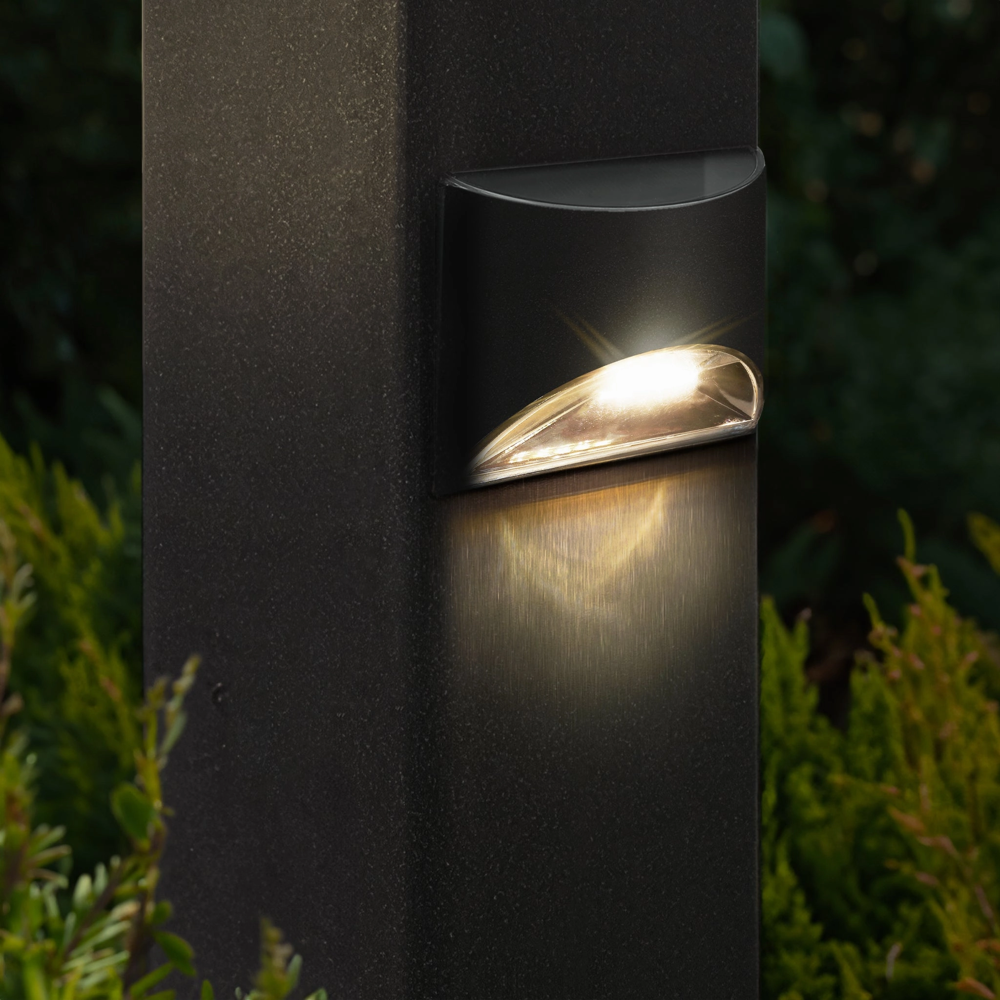 Deck & Wall Light