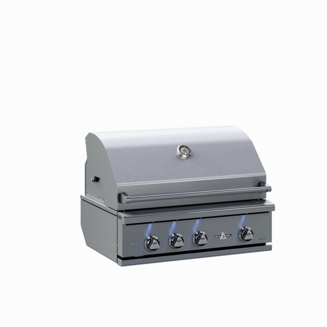 Delta Heat 32-Inch Built-In Gas Grill