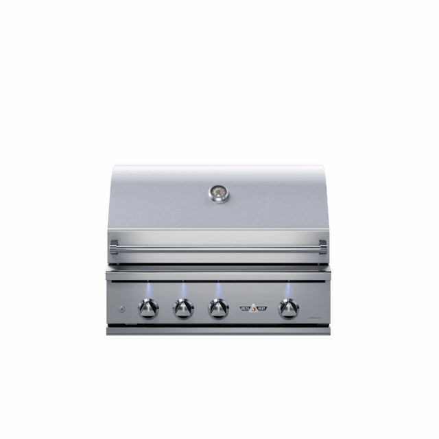 Delta Heat 32-Inch Built-In Gas Grill compact BBQ grill for small spaces