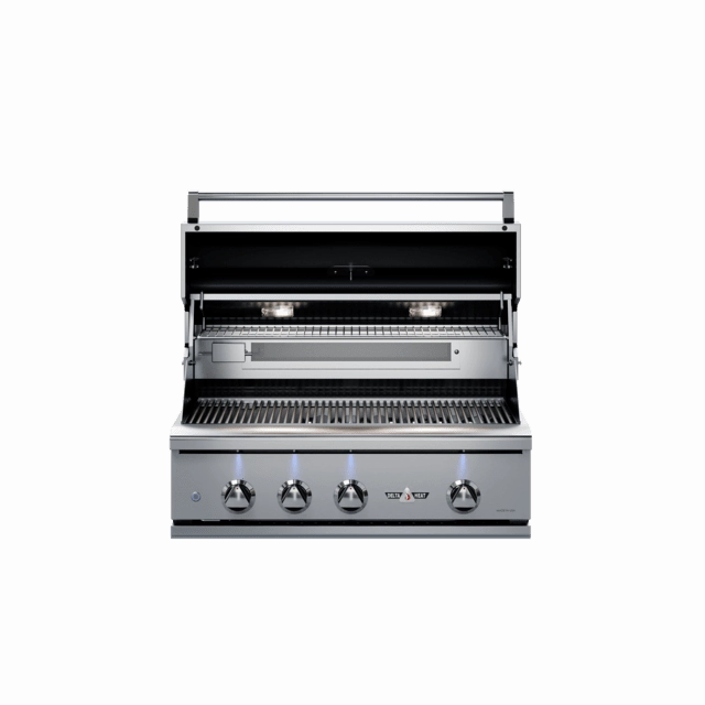 Delta Heat 32-Inch Built-In Gas Grill