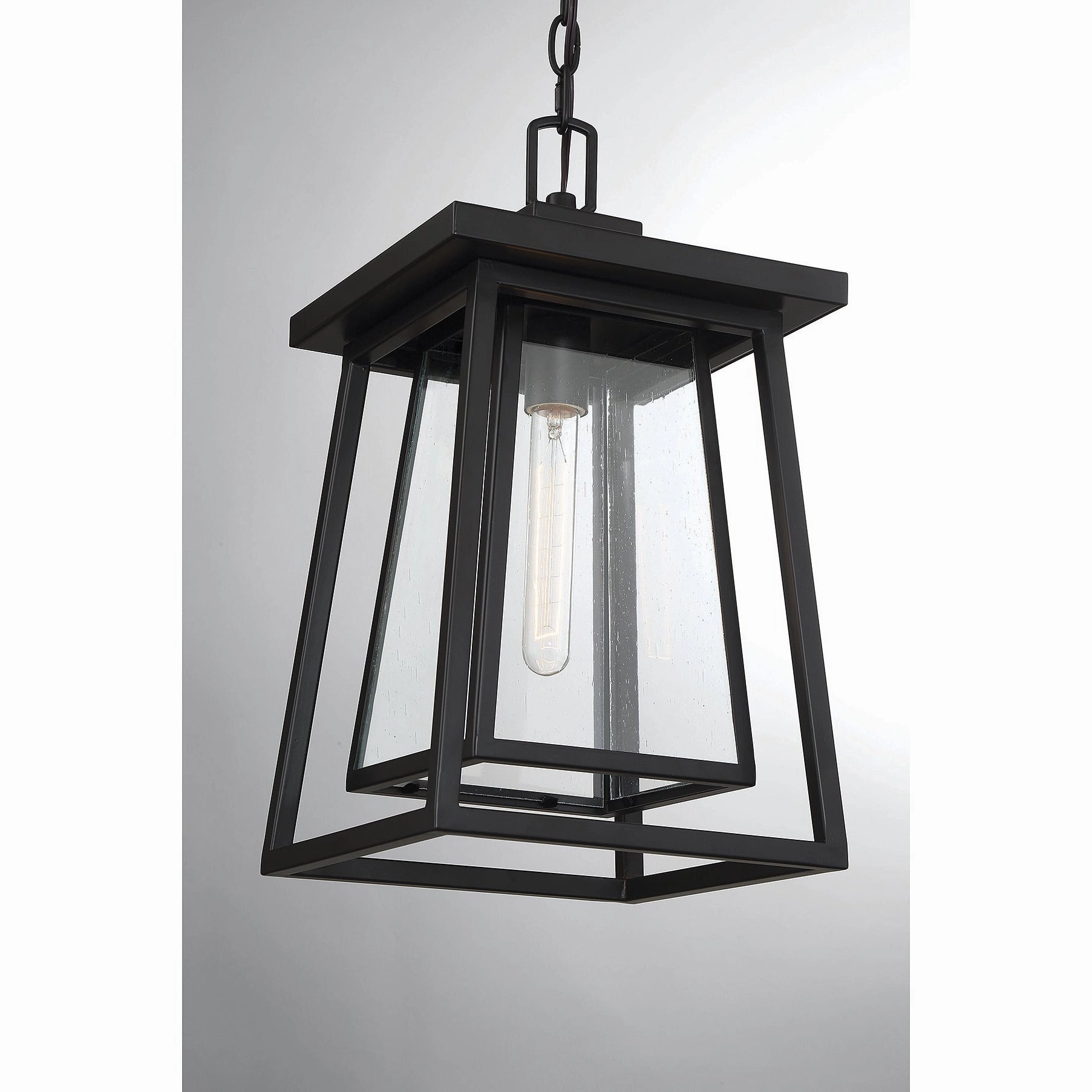 Denver 1-Light Outdoor Hanging Lantern