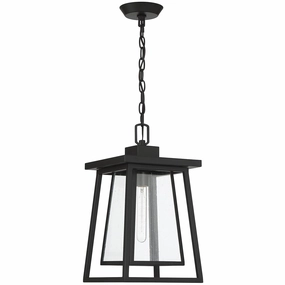 Denver 1-Light Outdoor Hanging LanternWeatherproof outdoor lighting