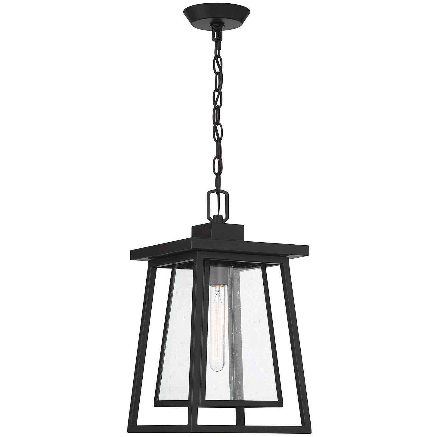 Denver 1-Light Outdoor Hanging Lantern