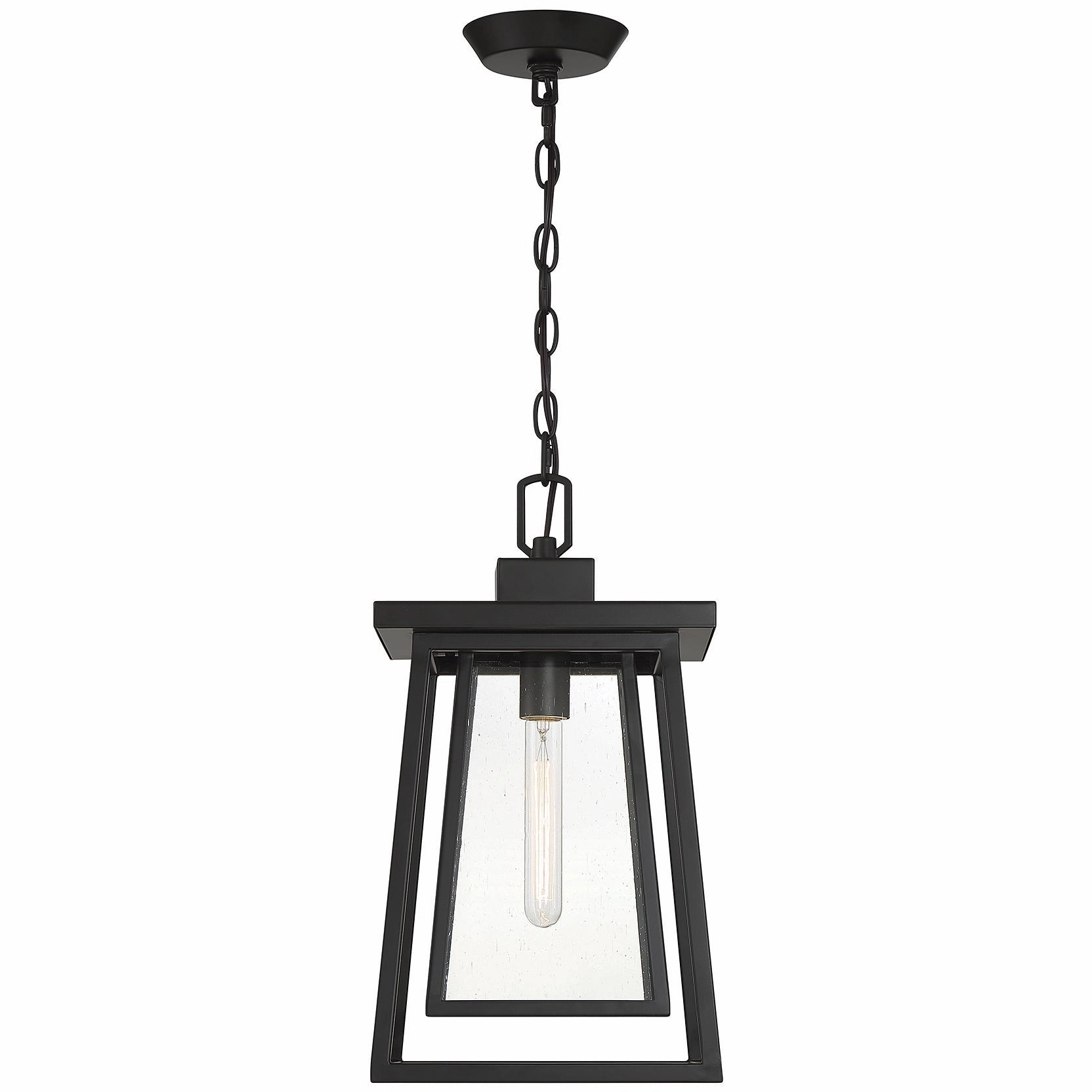 Denver 1-Light Outdoor Hanging Lantern