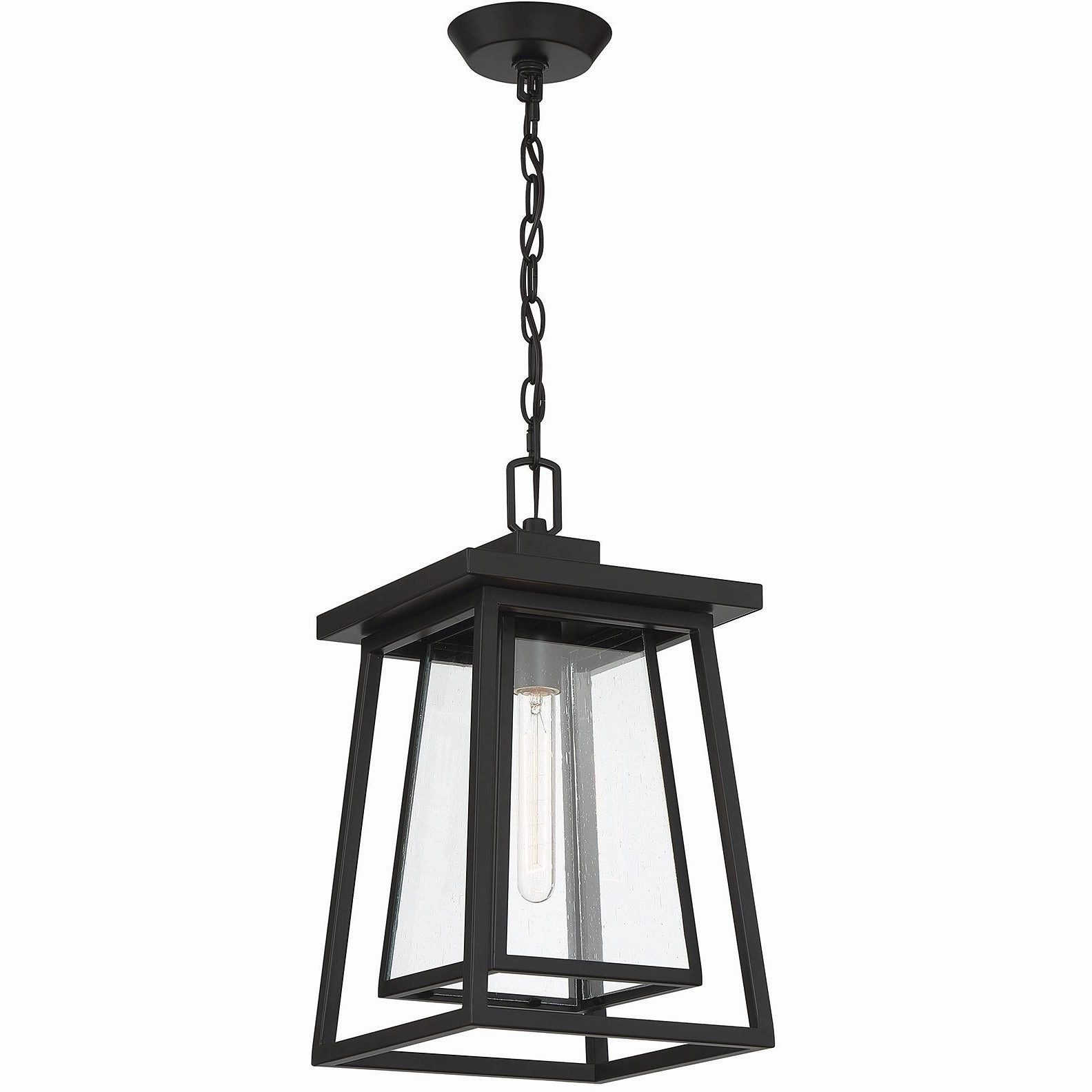Denver 1-Light Outdoor Hanging Lantern
