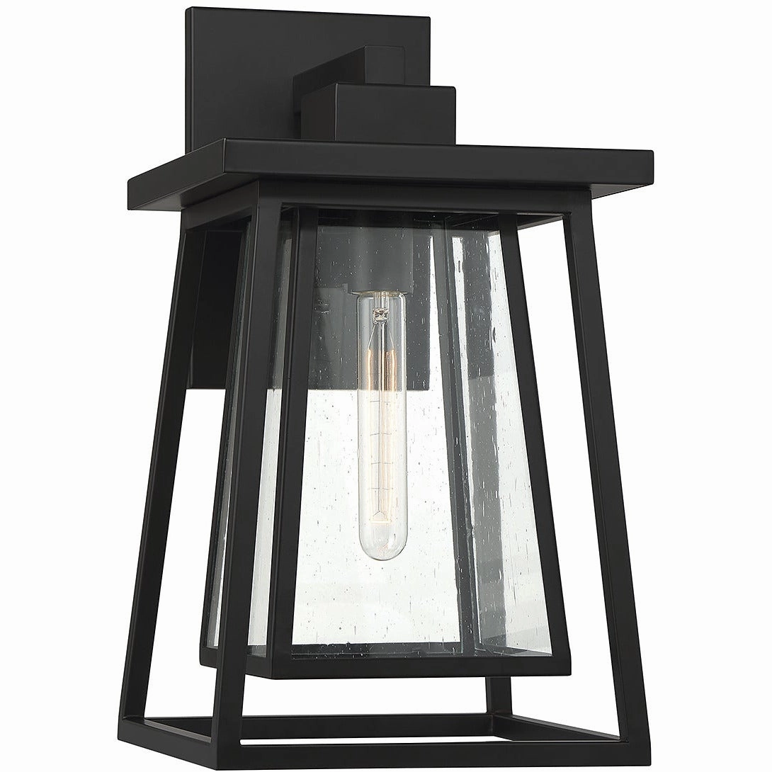 Denver 1-Light Outdoor Wall Lantern