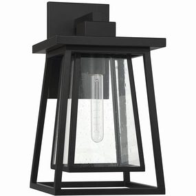 Denver 1-Light Outdoor Wall LanternWeatherproof outdoor lighting