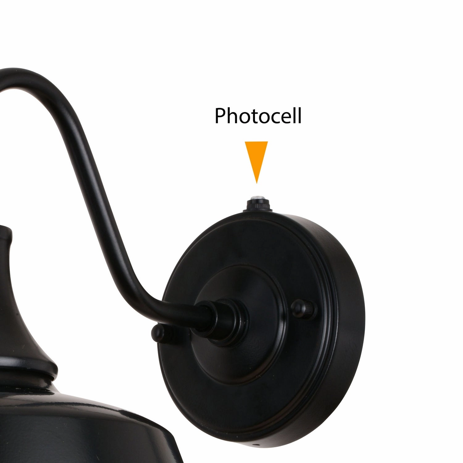 Dorado One Light Outdoor Wal Mount Dark Bronze and Light Gold