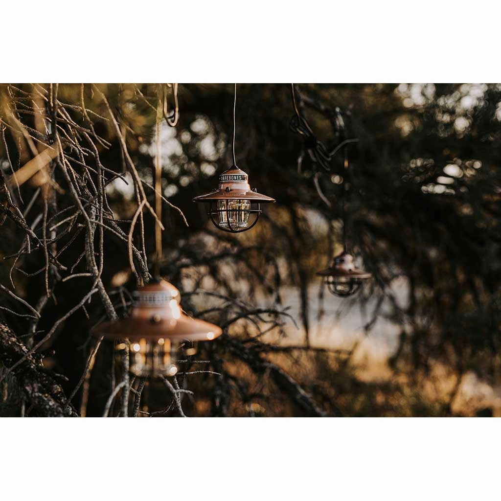 Edison String Lights