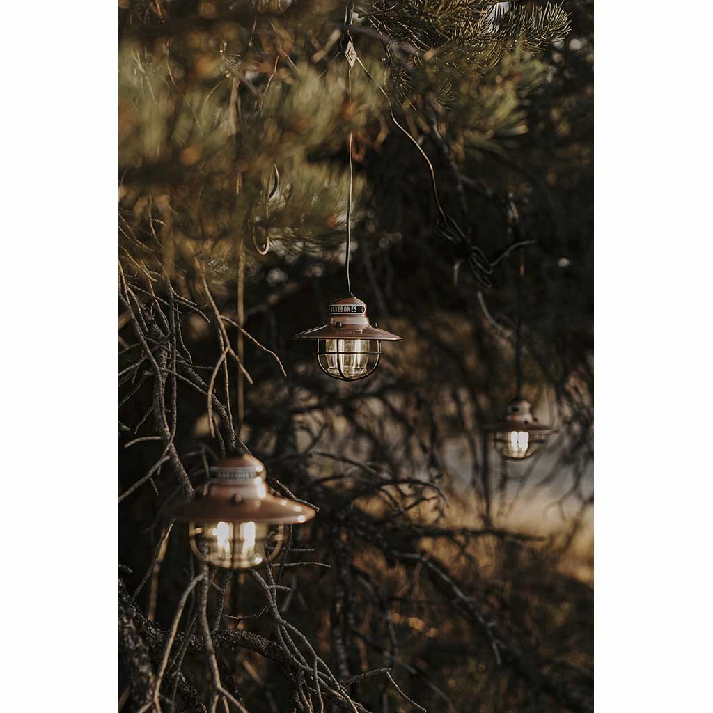 Edison String Lights
