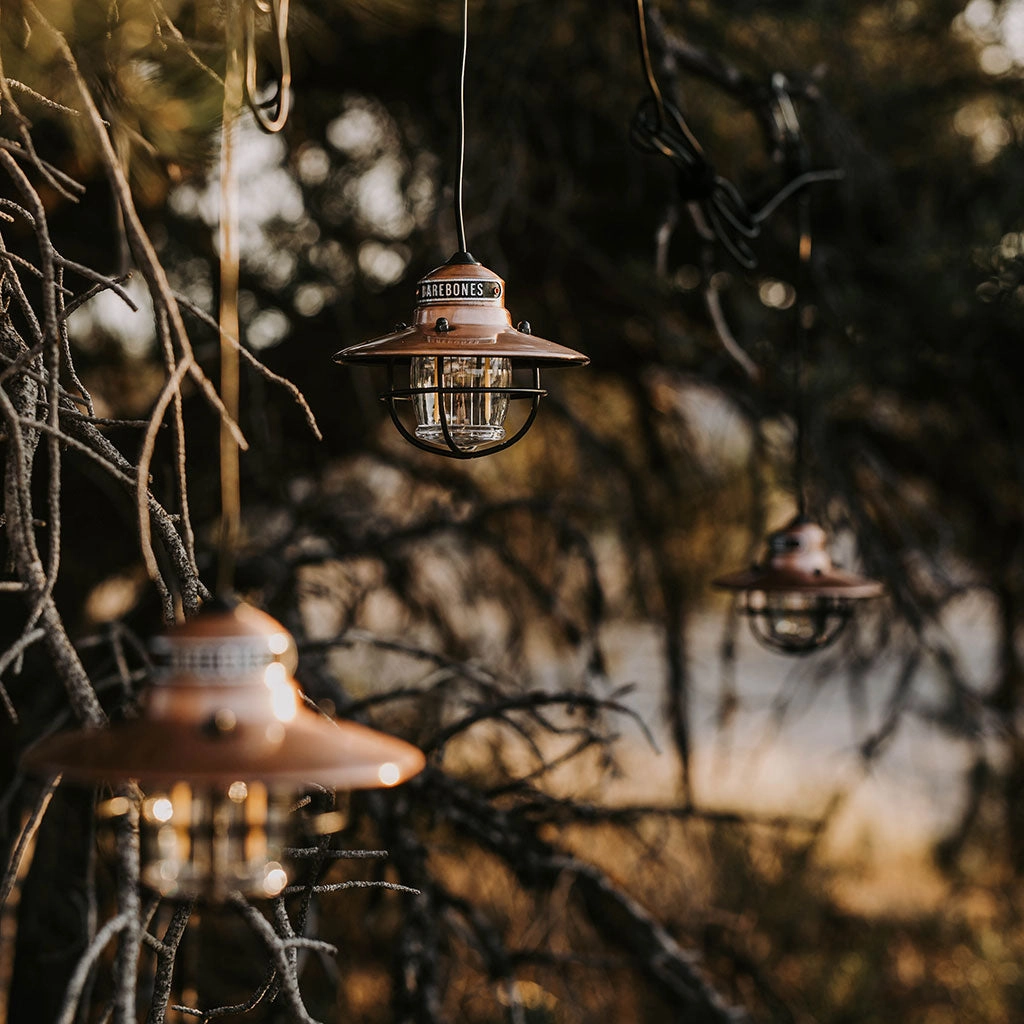 Edison String Lights