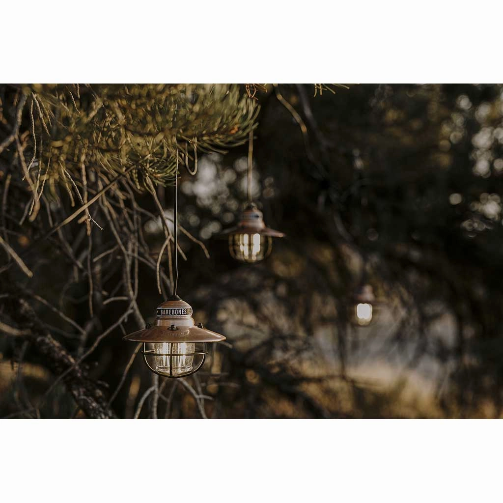 Edison String Lights