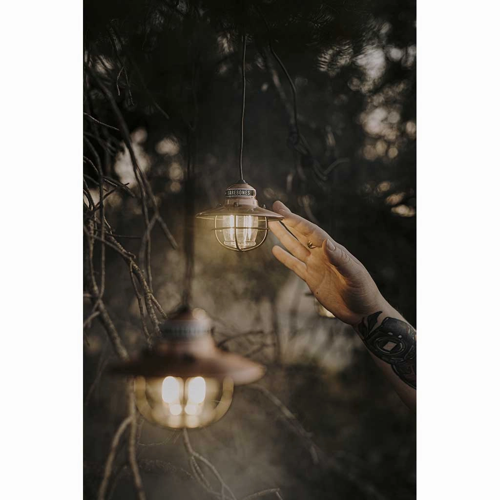Edison String Lights