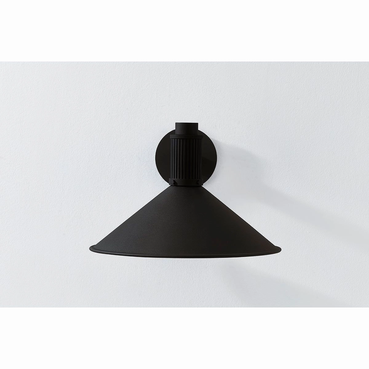 Elani 1-Light Exterior Wall Sconce