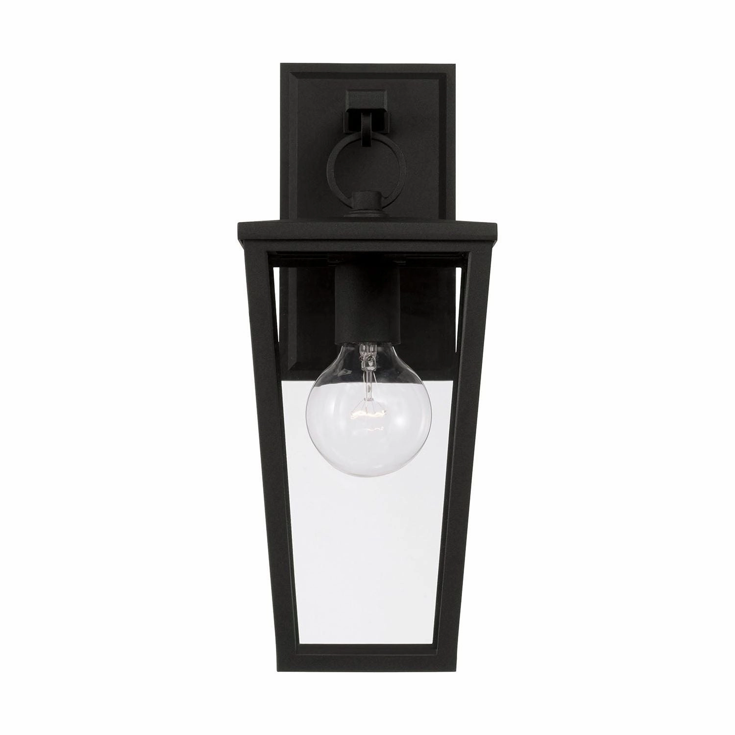 Elliott 1-Light Outdoor Wall Lantern