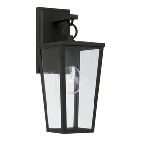 Elliott 1-Light Outdoor Wall LanternWeatherproof outdoor lighting