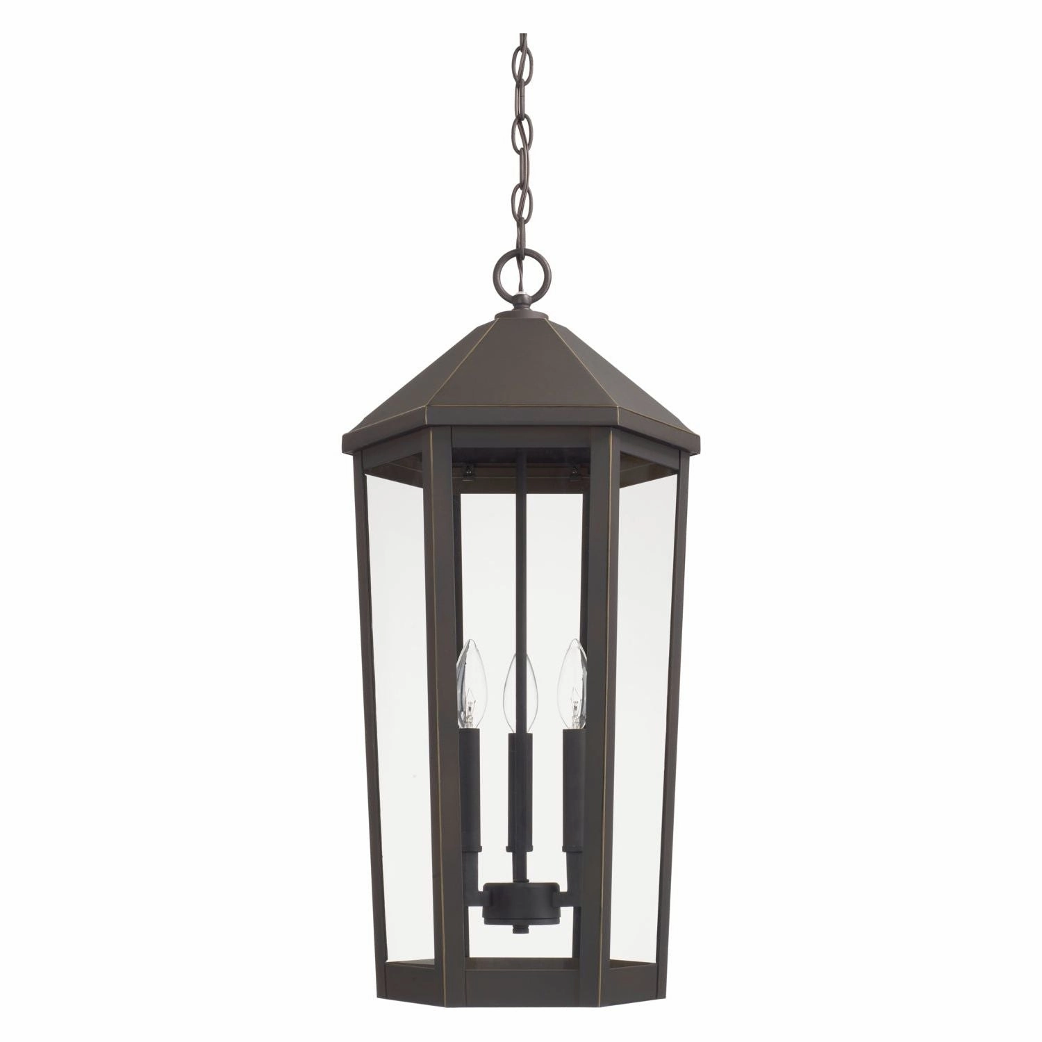 Ellsworth 3-Light Outdoor Hanging LanternWeatherproof outdoor lighting