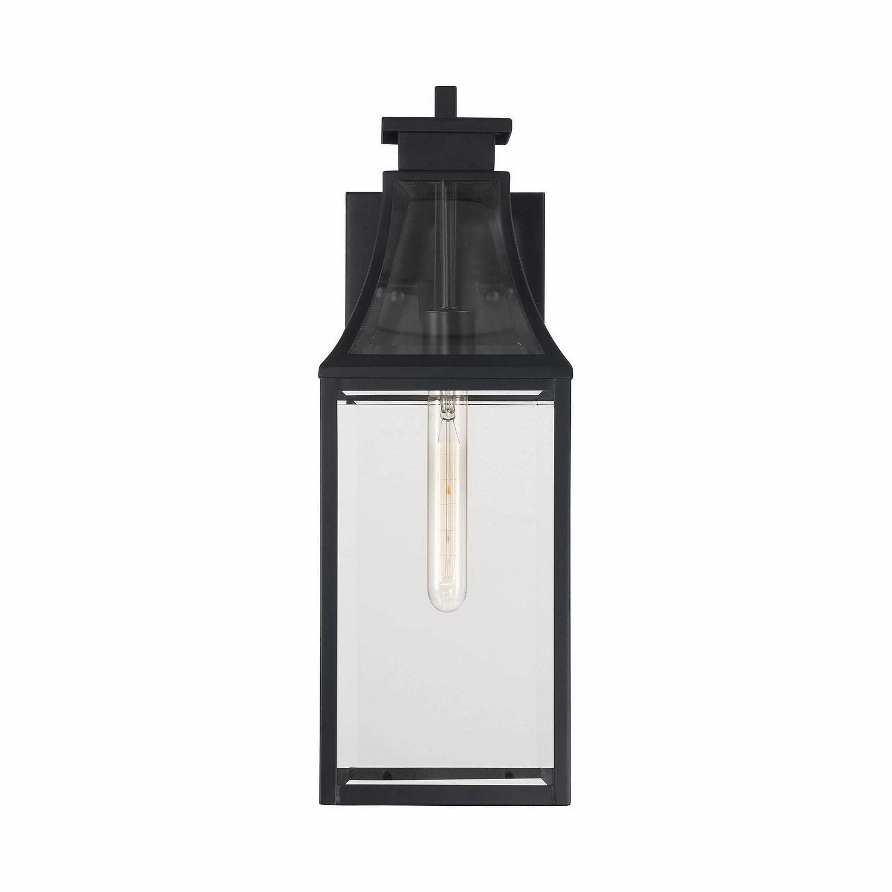 Emery 1-Light Outdoor Wall Lantern