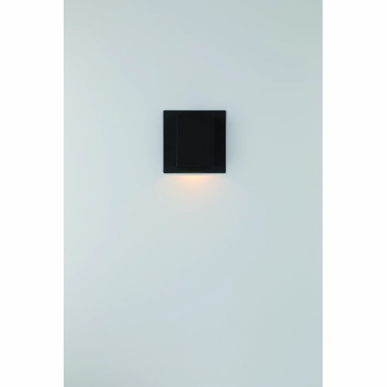 Erebus Outdoor LED Wall Mount