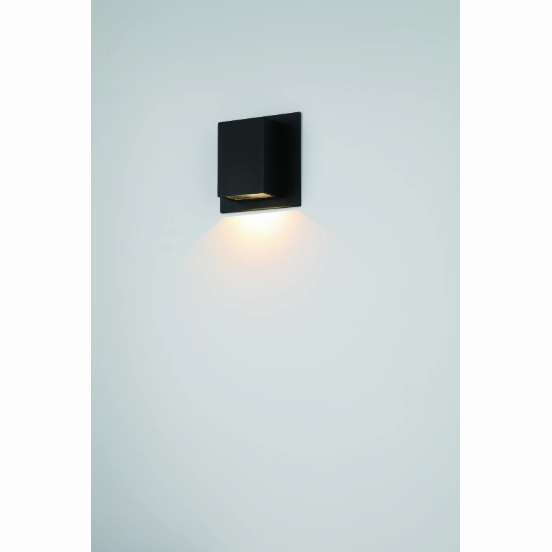 Erebus Outdoor LED Wall Mount