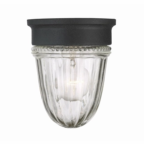 Exterior Collections Outdoor Ceiling LightWeatherproof outdoor lighting
