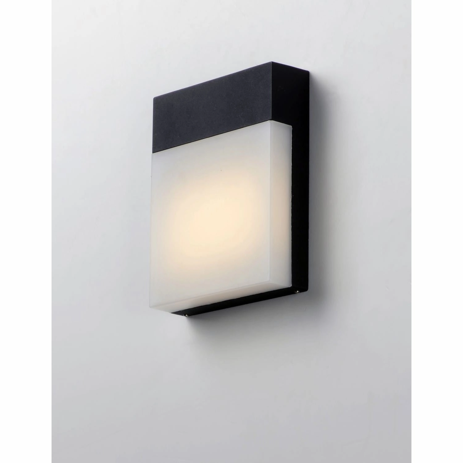 Eyebrow Outdoor Wall Light