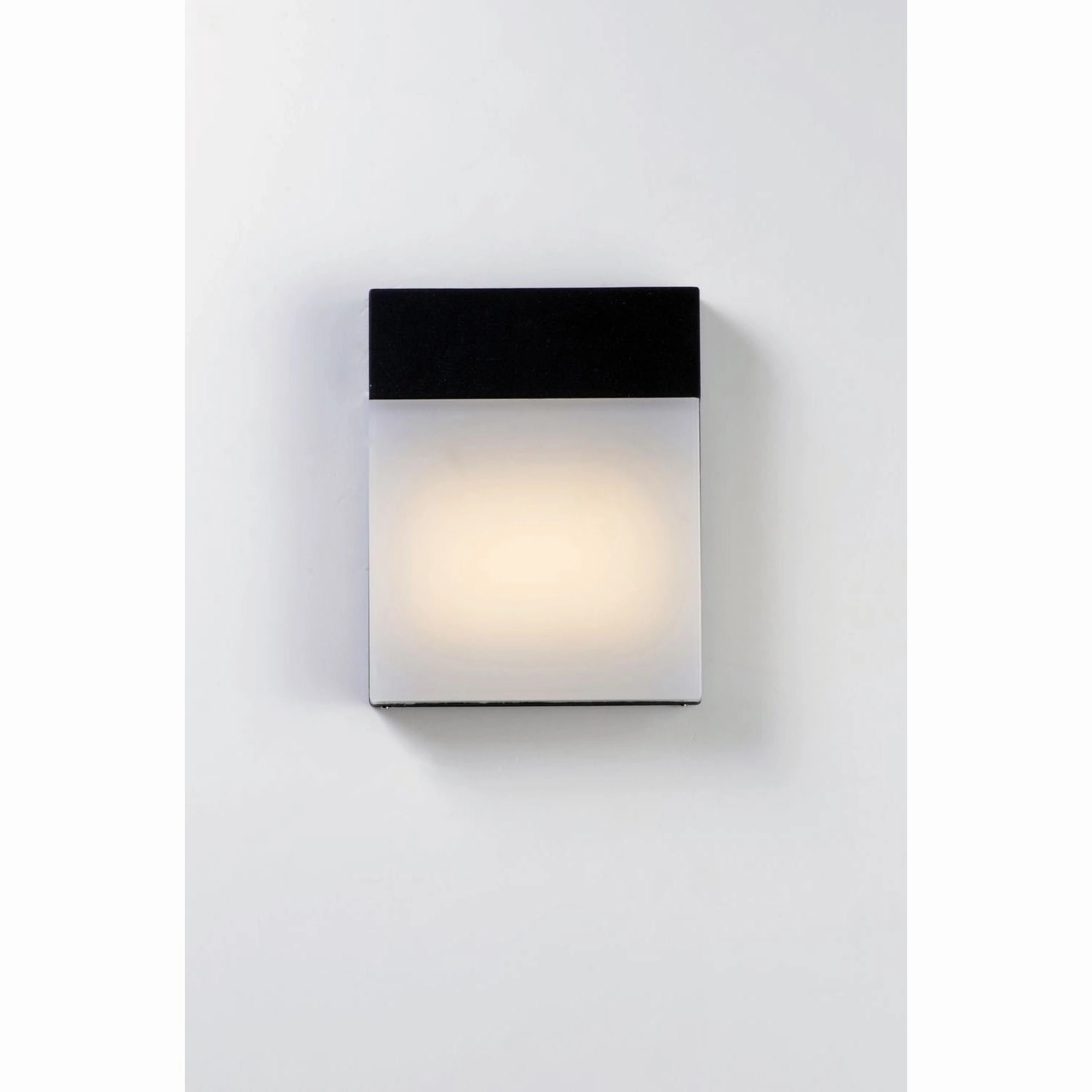 Eyebrow Outdoor Wall Light