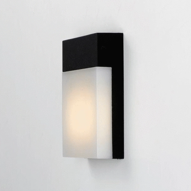 Eyebrow Outdoor Wall Light