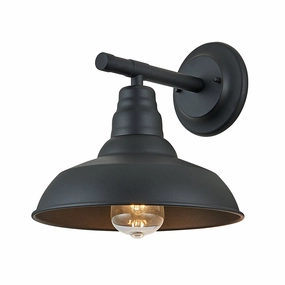 Falcon 1-Light Exterior Wall LightWeatherproof outdoor lighting