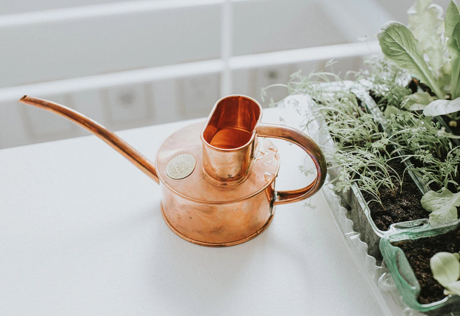 Fazeley Flow Copper Watering Can