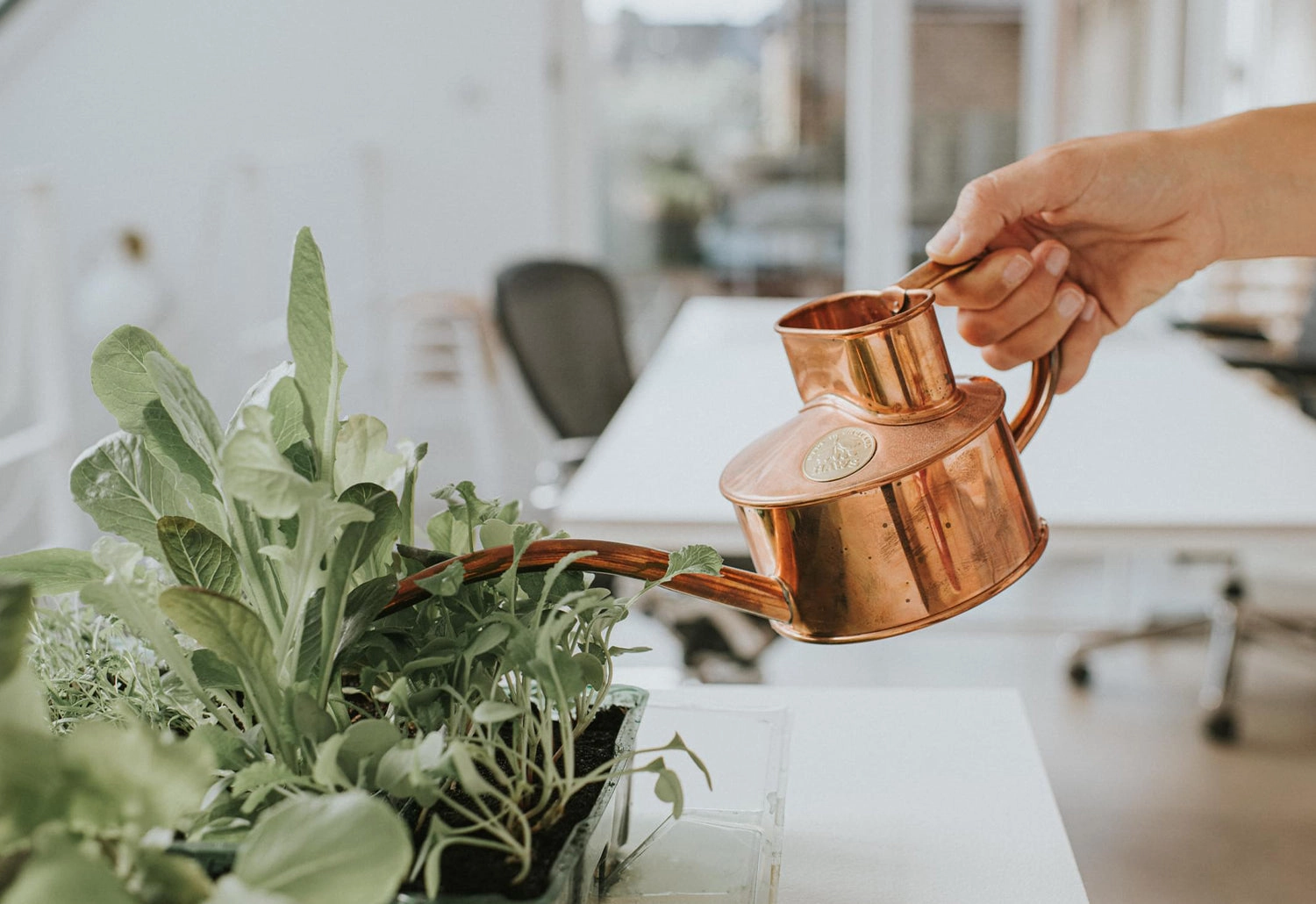 Fazeley Flow Copper Watering Can