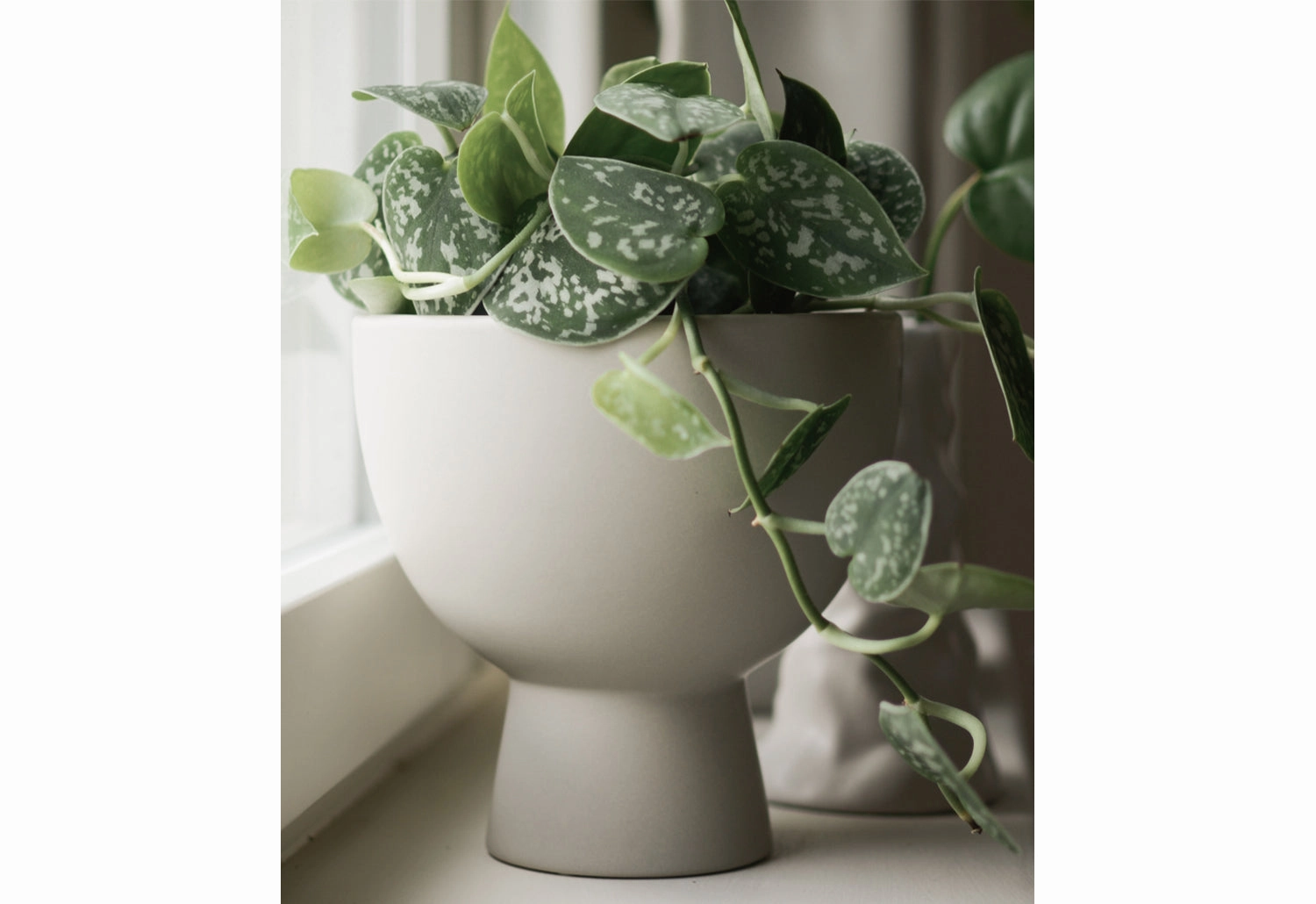 Figure Plant Pot