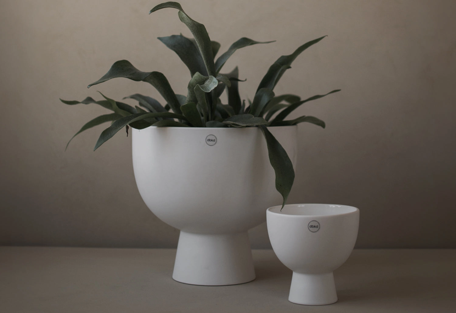 Figure Plant Pot
