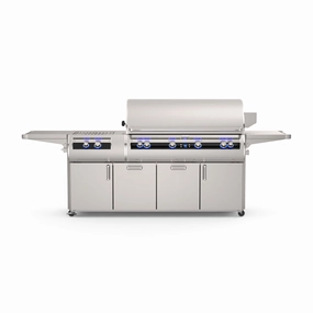 Fire Magic Echelon E1060s Portable Grill Digital Thermometer and Power Burner stainless steel BBQ grill with side table